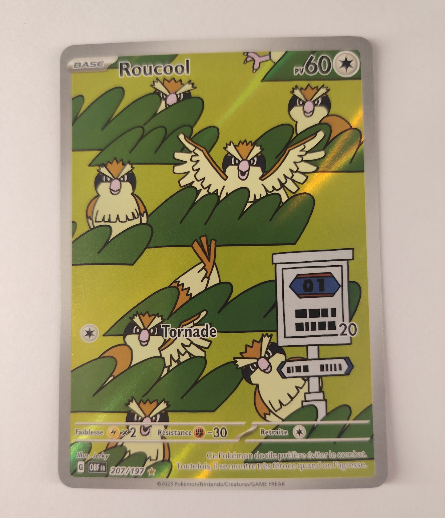 Roucool 207/197 – Illustration Rare – Flammes Obsidiennes FR | Pokémon
