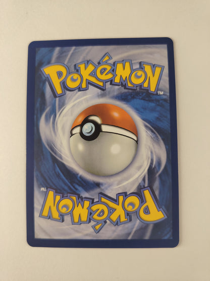 Méga-Florizarre EX 013 – Promo Pokémon FR | Pokémon