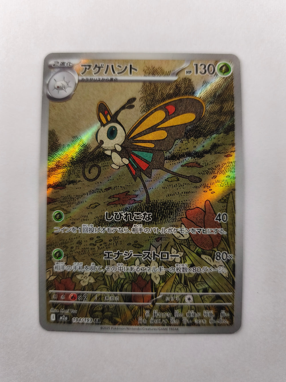 Charmillon 194/193 AR – M2a – Japonais